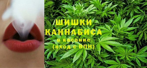 соль ск Алексин