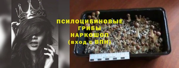 соль ск Алексин