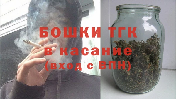 сатива Алзамай