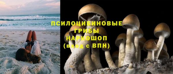 сатива Алзамай