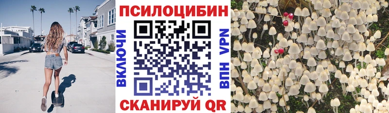 Псилоцибиновые грибы Magic Shrooms  купить наркотики сайты  мега вход  Пошехонье 
